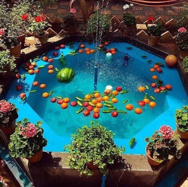 هوای پدر و مادرهای بازنشستهتان را داشته باشید