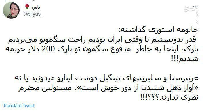 قوانین «سگگردانی» را از غربیها یاد بگیرید