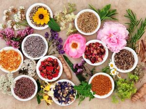 طب سنتی وارد بیمارستانها میشود / جزئیاتی از ادغام طب ایرانی و طب رایج در وزارت بهداشت