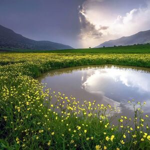 عکس/ ایران من