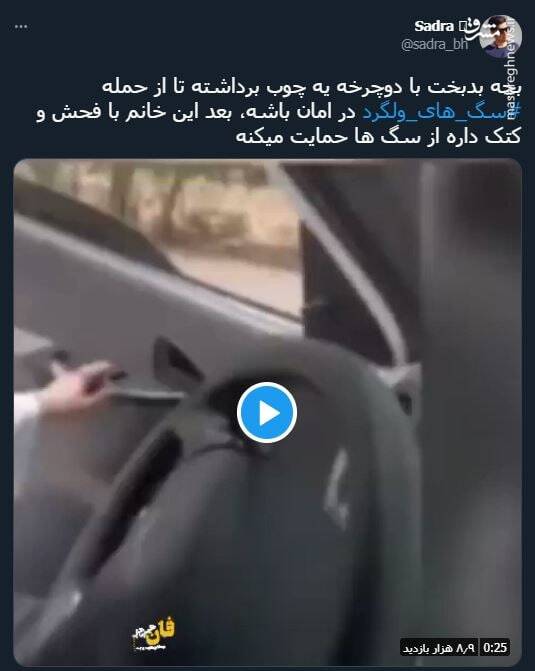 دردسرهای دفاع در برابر حمله سگهای ولگرد + فیلم