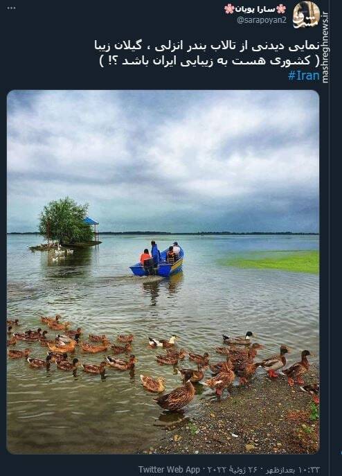 نمایی دیدنی از تالاب بندر انزلی+ عکس