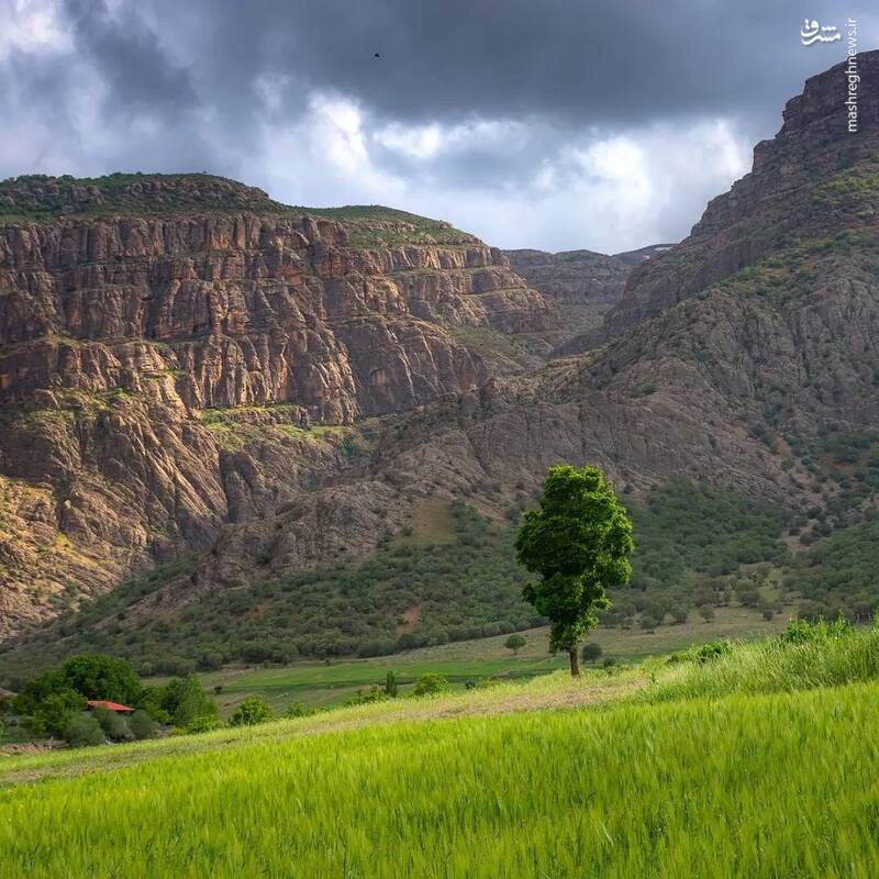 عکس/ ایران من