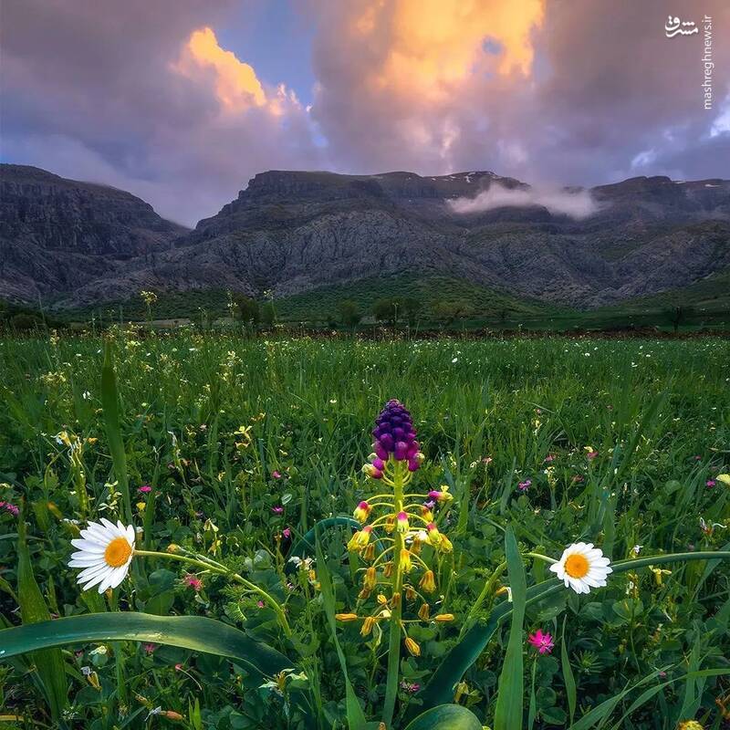 عکس/ ایران من