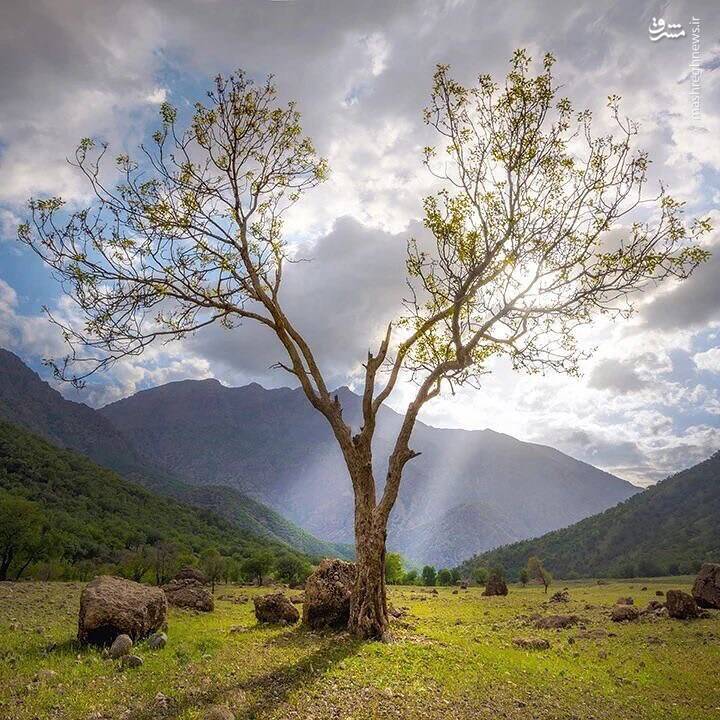 عکس/ ایران من