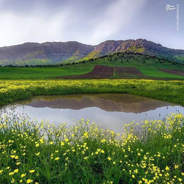 عکس/ ایران من