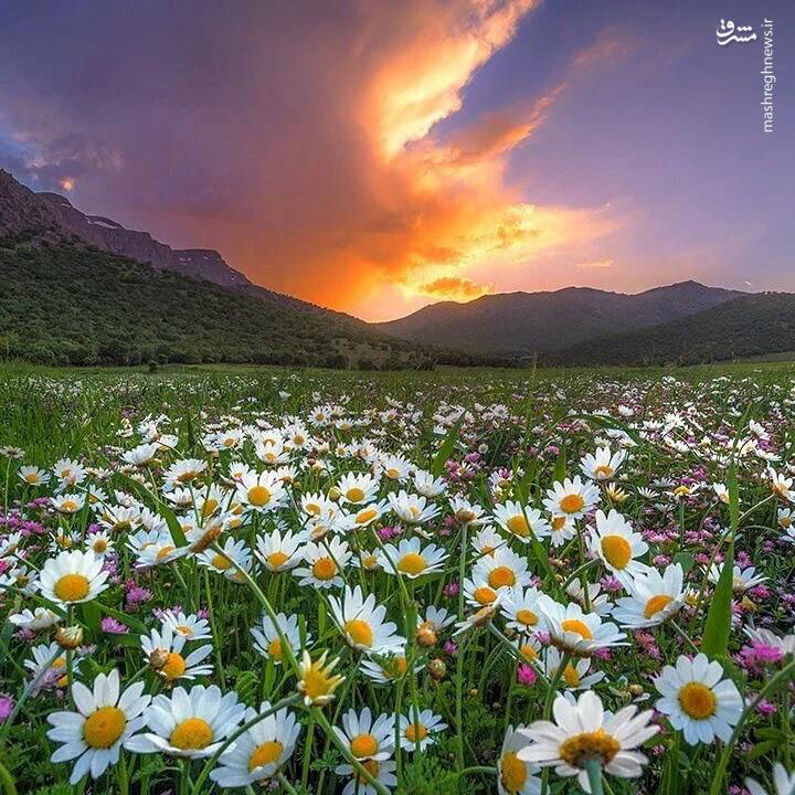 عکس/ ایران من