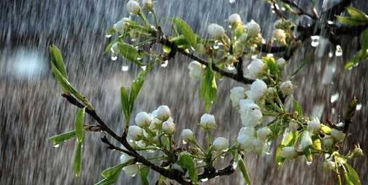 سیلاب فیروزکوه 9فوتی، 16 مفقودی و 12 مصدوم داشت / حضور گروههای امدادی و جهادی در مناطق درگیر سیلاب + فیلم و عکس 4