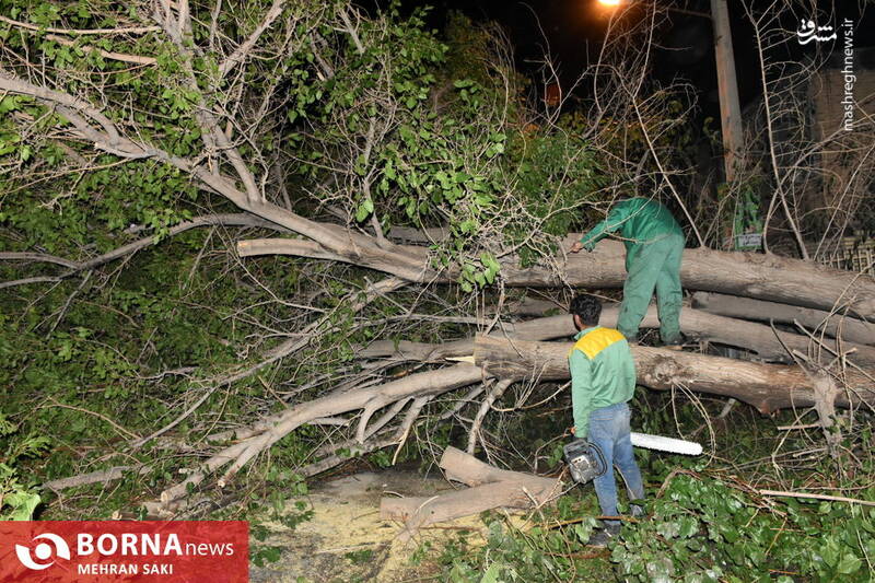 عکس/ اراک بعد از طوفان