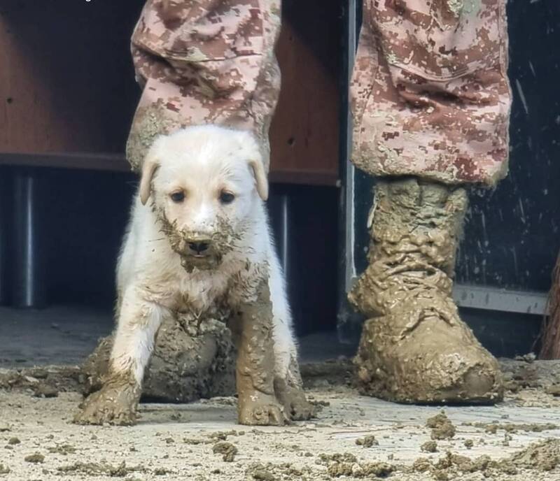 چرا بالگرد رئیس جمهور در باغ گردو فرود آمد؟/عکس های این جهادگر داوطلب ضد شایعه است +تصاویر