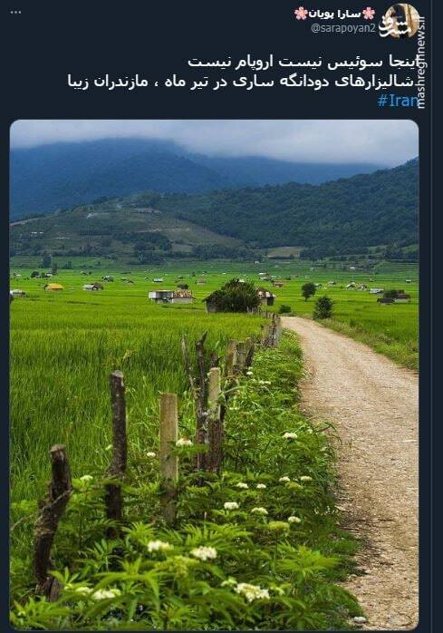 اینجا سوئیس نیست اروپام نیست+ عکس