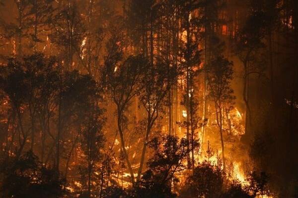 کالیفرنیا در آتش؛ مهار شعلهها غیرممکن شد +عکس