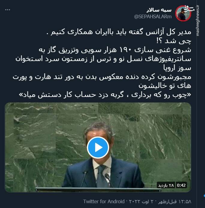 چوب رو که برداری ، گربه دزد حساب کار دستش میاد+ فیلم