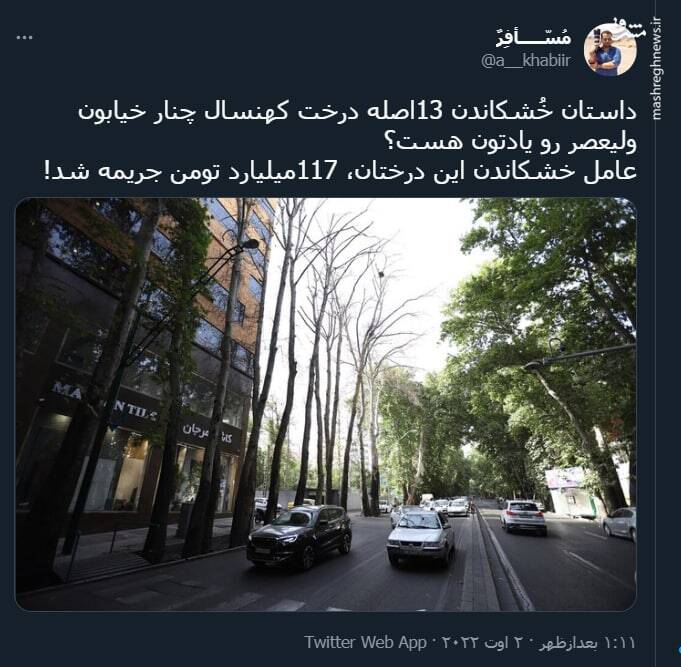 عاقبت عامل خشکاندن درختان خیابان ولیعصر