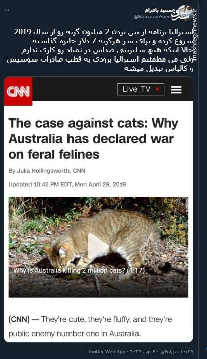 سکوت سلبریتی ها برای جایزه ۷ دلاری برای سر گربه