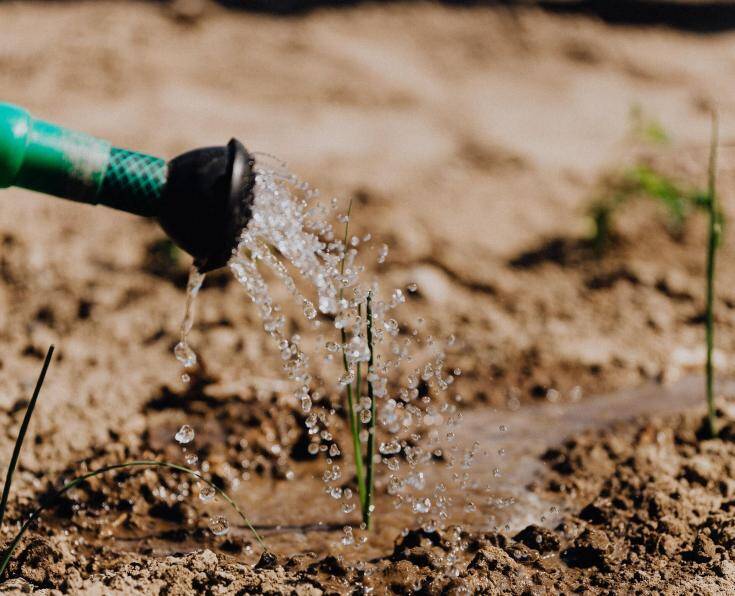 خشکسالی بیسابقه و بحران آب؛ اروپا دیگر سبز نیست