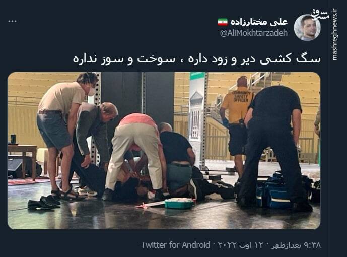 سگ کشی دیر و زود داره ، سوخت و سوز نداره