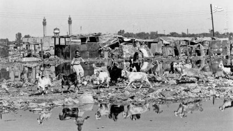 واقعا چه مرگتون بود انقلاب کردین؟+ عکس