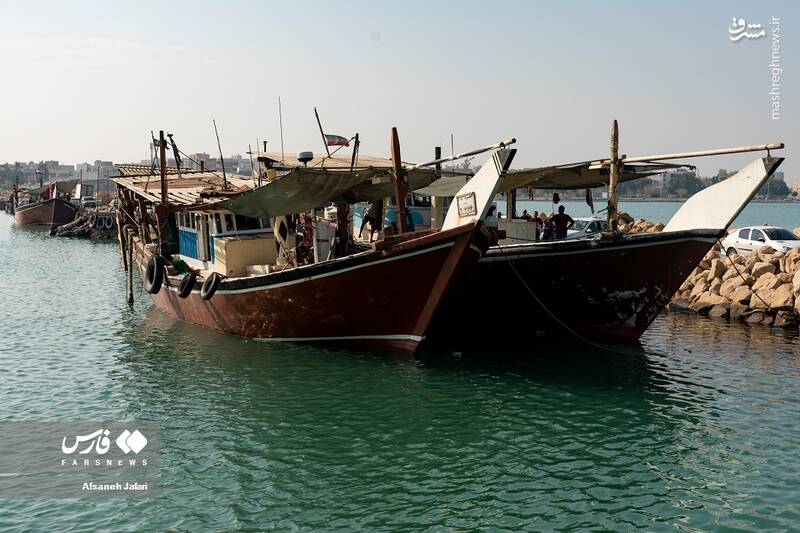 عکس/ فصل صید میگو در بوشهر