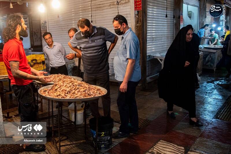 عکس/ فصل صید میگو در بوشهر