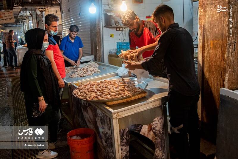 عکس/ فصل صید میگو در بوشهر