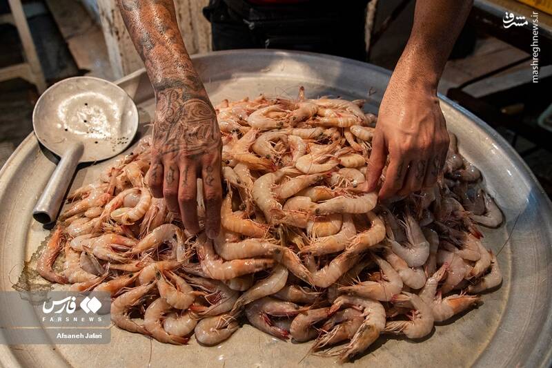 عکس/ فصل صید میگو در بوشهر