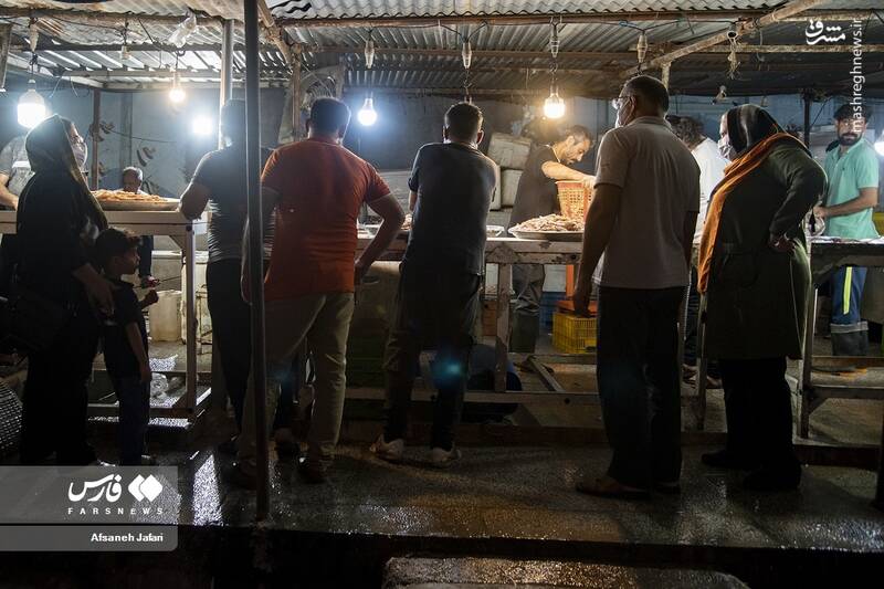 عکس/ فصل صید میگو در بوشهر