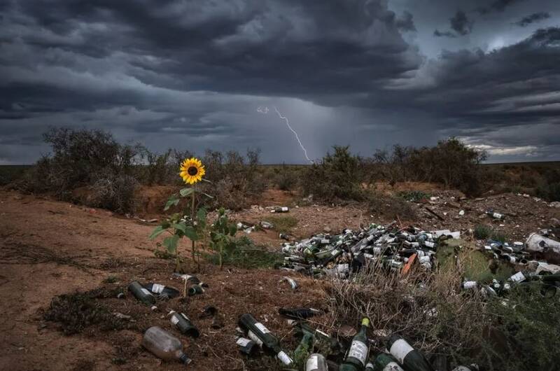 عکس های زیبا از طبیعت و حیات وحش 2022