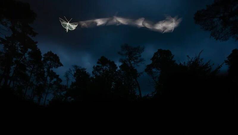 عکس های زیبا از طبیعت و حیات وحش 2022