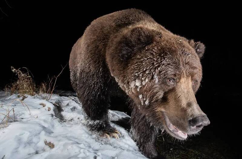 عکس های زیبا از طبیعت و حیات وحش 2022