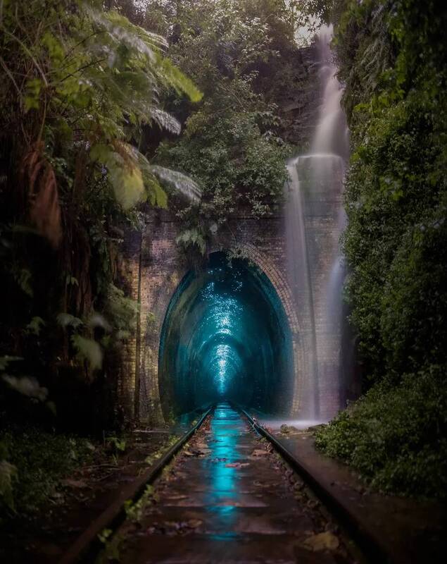 عکس های زیبا از طبیعت و حیات وحش 2022