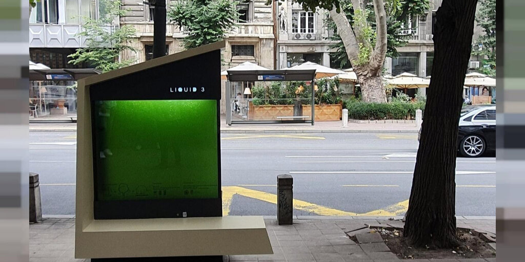 «درختان مایع» در اصفهان +عکس