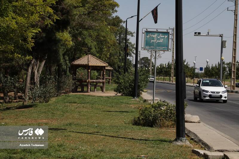 خشک شدن درختان «بوستان گلریز» تهران