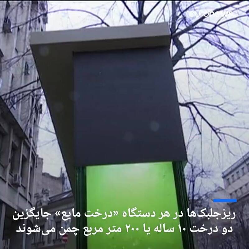 اصفهان میزبان «درختان مایع»