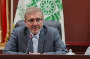هر ایرانی صاحب کد اقتصادی میشود رئیس سازمان مالیاتی: هر ایرانی صاحب کد اقتصادی میشود
