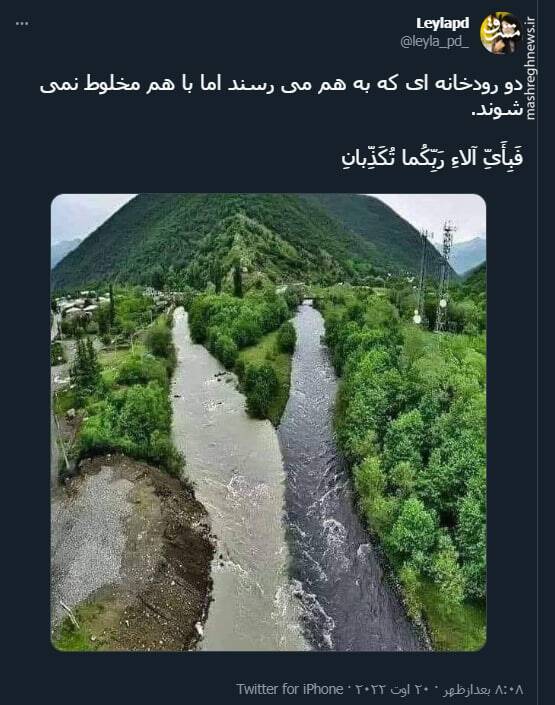 دو رودخانه ای که با هم مخلوط نمی شوند+ عکس