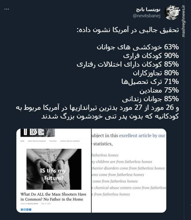 نتایج جالب یک تحقیق درباره تیراندازی ها در آمریکا