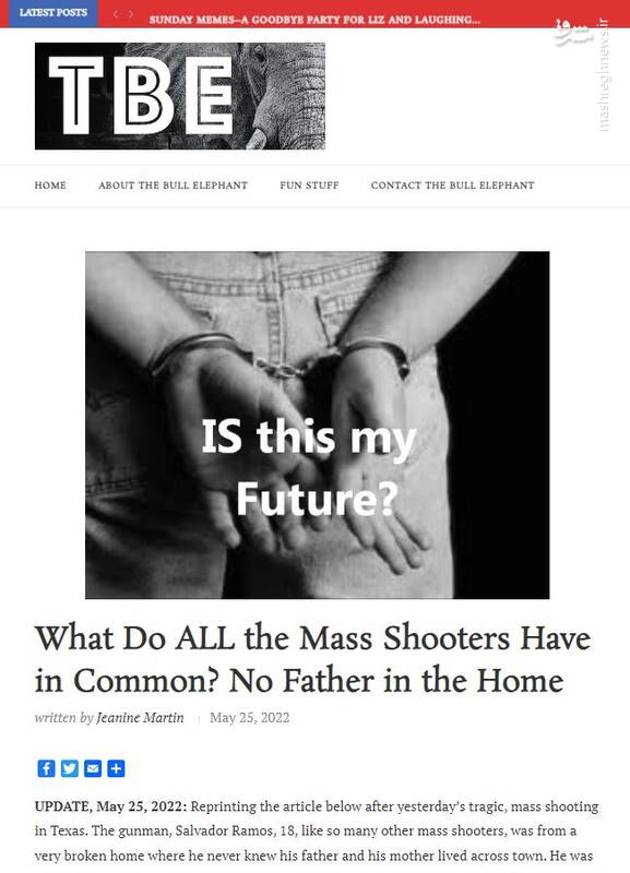 نتایج جالب یک تحقیق درباره تیراندازی ها در آمریکا