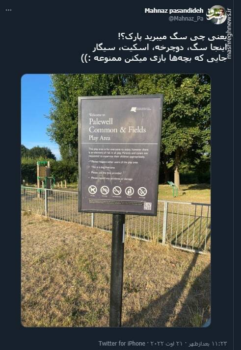 یعنی چی سگ میبرید پارک؟!+ عکس