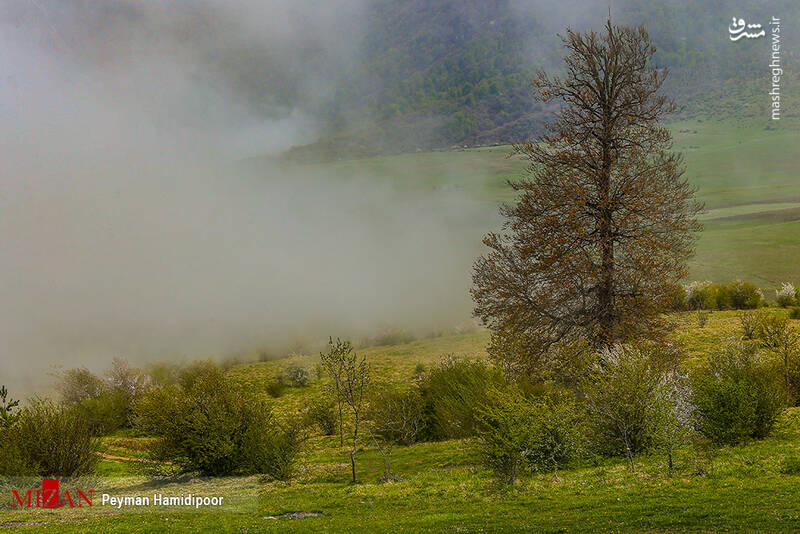 عکس/ طبیعت جهاننما