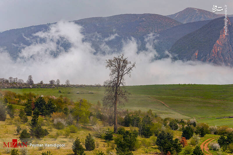 عکس/ طبیعت جهاننما