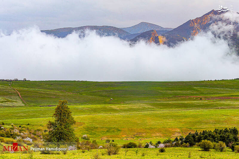 عکس/ طبیعت جهاننما