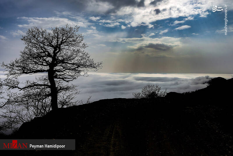 عکس/ طبیعت جهاننما