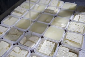 قیمت انواع پنیر صبحانه در بازار | پنیر تبریز کیلویی ۱۱۹ هزار تومان