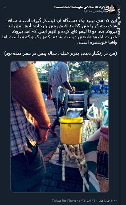 روش تهیه شربت آبلیمو طبیعی + عکس