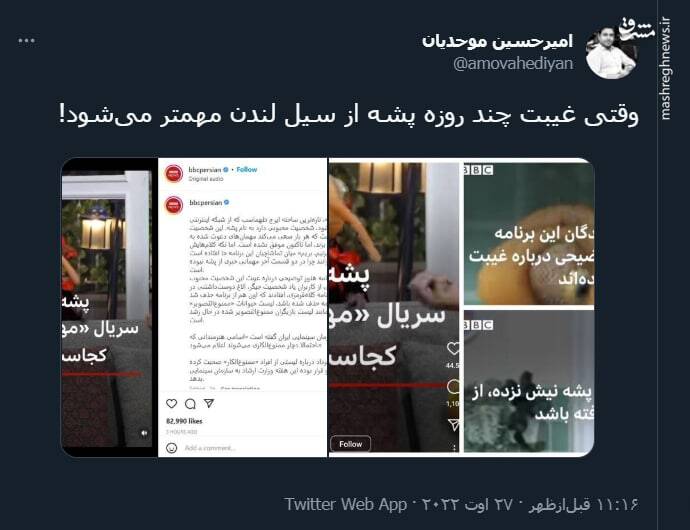 وقتی غیبت چند روزه پشه از سیل لندن مهمتر میشود!+ عکس