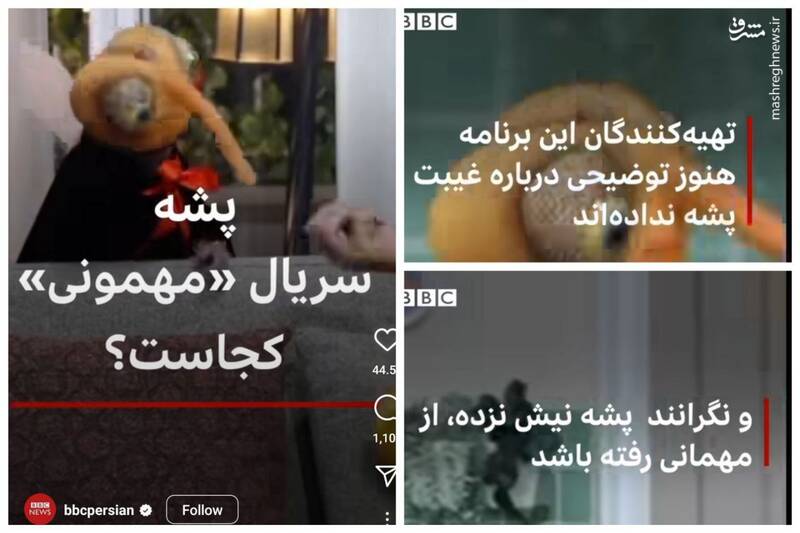 وقتی غیبت چند روزه پشه از سیل لندن مهمتر میشود!+ عکس