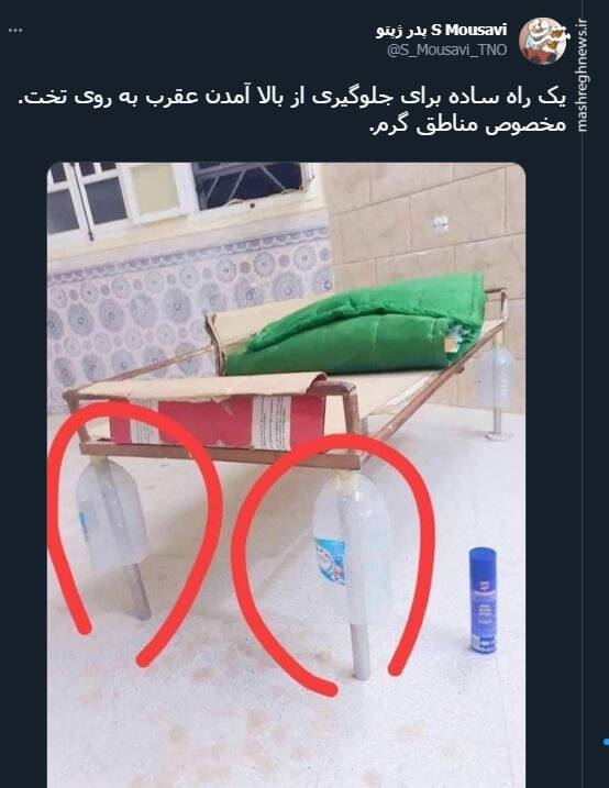 راهکار جالب برای در امان ماندن از نیش عقرب+ عکس