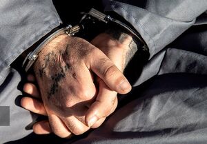 سارق گوشواره دختربچهها دستگیر شد سارق گوشوارهِ دختربچهها دستگیر شد