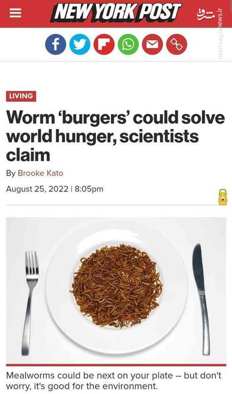 رسانههای غربی: گوشت گاو کم است کرم بخورید!+ عکس